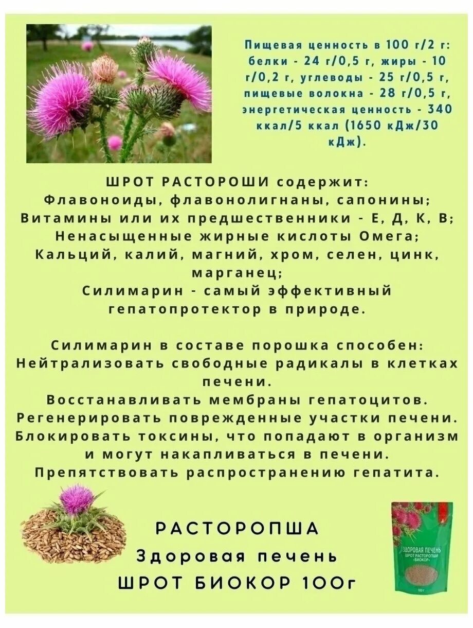 Как принимать расторопшу порошок для печени. Расторопша здоровая печень Биокор. Шрот расторопши порошок. Шрот расторопши Биокор 100 г. Здоровая печень шрот расторопши Биокор.