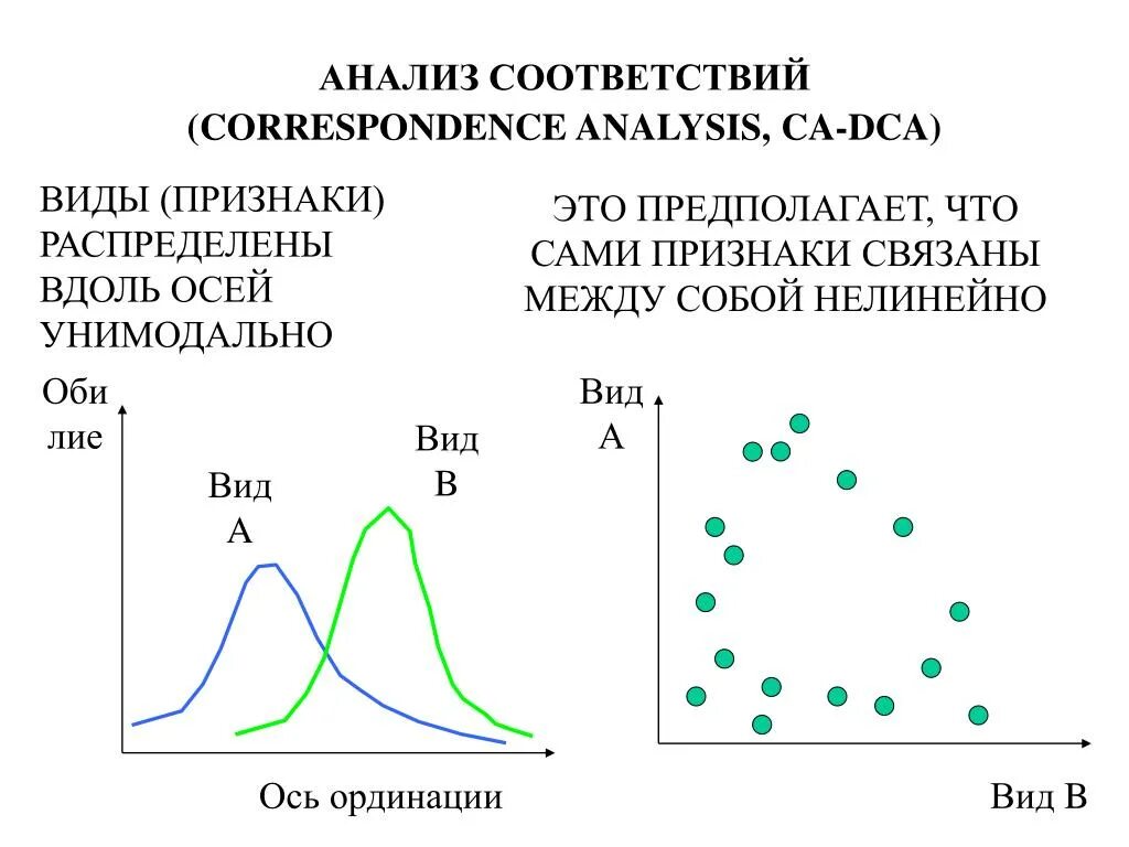 Анализ соответствий основы