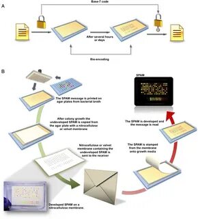 Print message