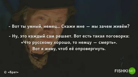Ты умный брат зачем живем скажи песня