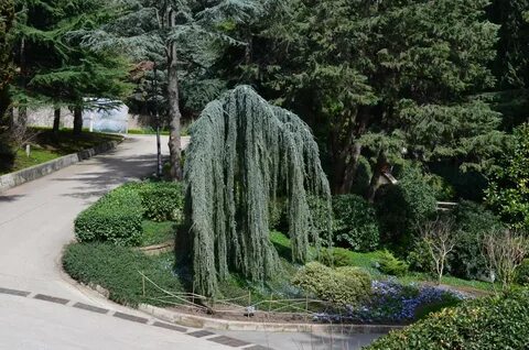 Крымская парк культуры