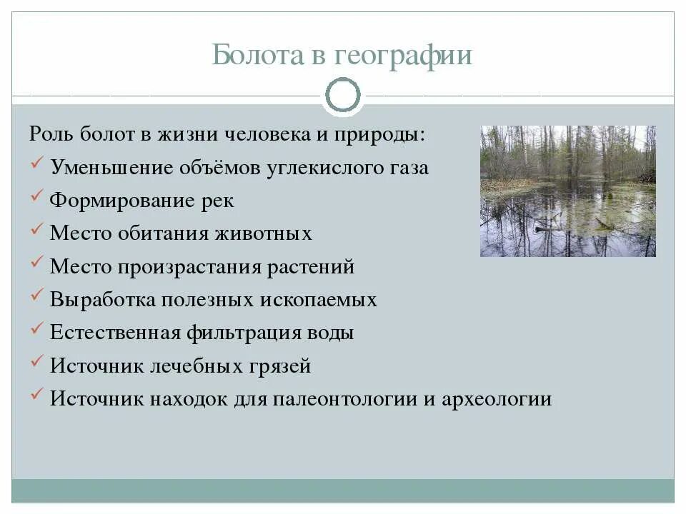 почему на болоте так мало разрушителей. памятка болото. польза осушения болот. осушение болот пути решения. вред и польза компьютера таблица.