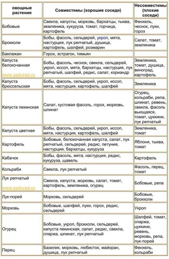 Соседство овощей на грядках таблица совместимости растений. Таблица совместимости овощей на грядке. Таблица совместимости посадок овощных культур. Смешанные посадки овощей и цветов таблица. Таблица совместимости растений на огороде соседство овощей.