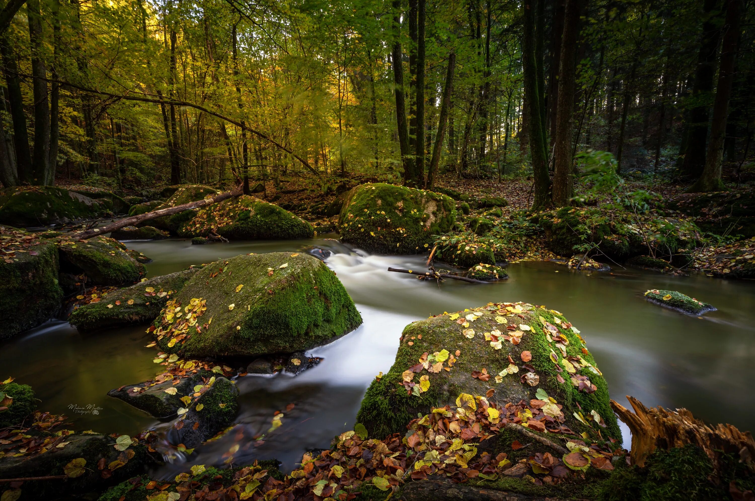 Stone fall. Камень в лесу. Лес осень река камни. Пейзаж природа камни. Природа река камни.
