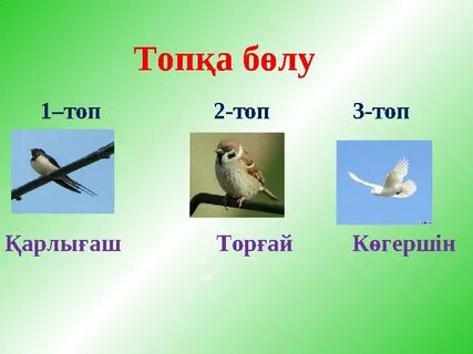 Таразы адамы мен Таразы әйелінің жыныстық үйлесімділігі