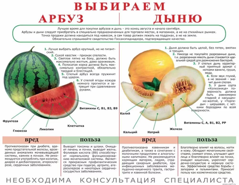 Какие вещества содержатся в арбузе формула. Витамины в дыне и арбузе. Дыня калорийность. Какие витамины в дыне. Полезные витамины в арбузе.