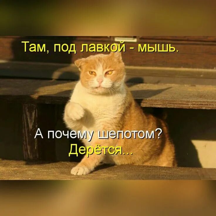 Как ты там картинки. Обложка туман. Я скучаю на черном фоне. Ты там под чем. Ты там под чем.