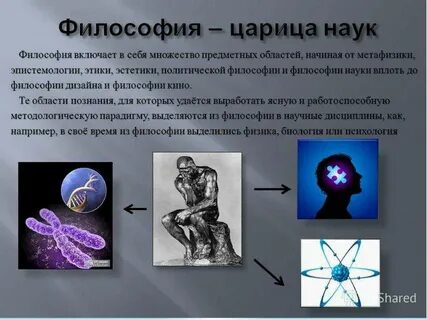 Философия является наукой всех наук