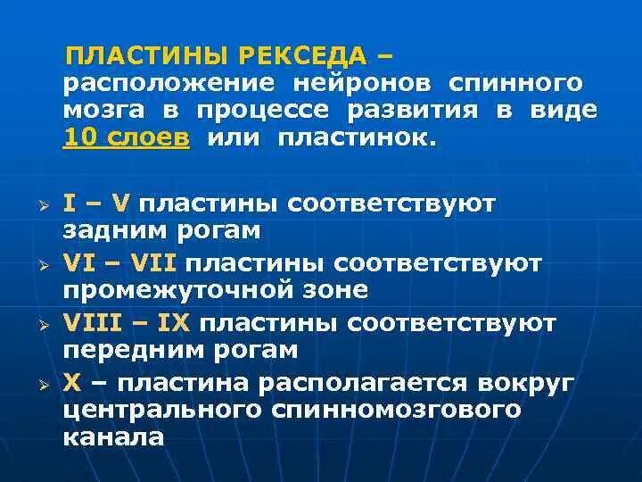 Пластина мозга. Пластины спинного мозга. Пластины Рекседа спинного мозга. Пластины Рекседа гистология. Слой серого вещества по Рекседу.