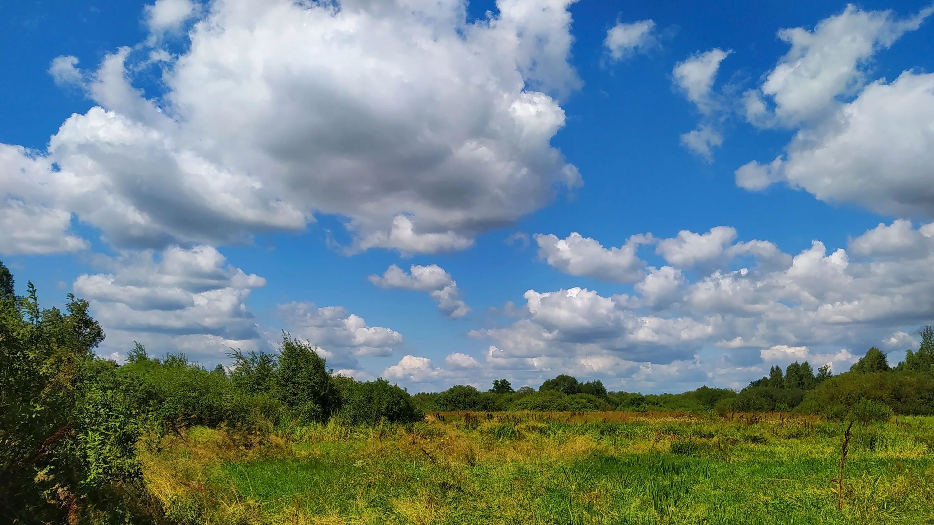 Август небо. S7 в небе. Небо №7. Небо в августе фото. 7 августа небо.