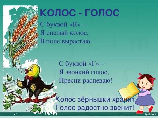 Запись колоса