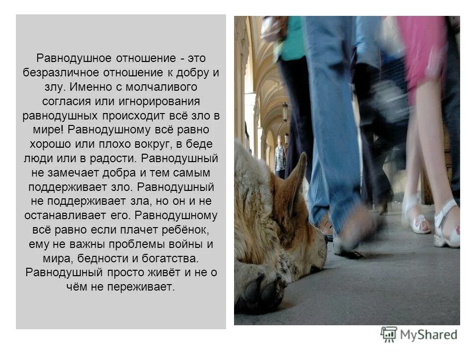 Проблема равнодушия