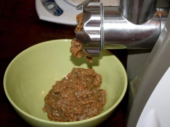 Рыбу через мясорубку с костями. Паштет из карася. паштет из мясорубки. чагу через мясорубку. паштет из жареного карася.