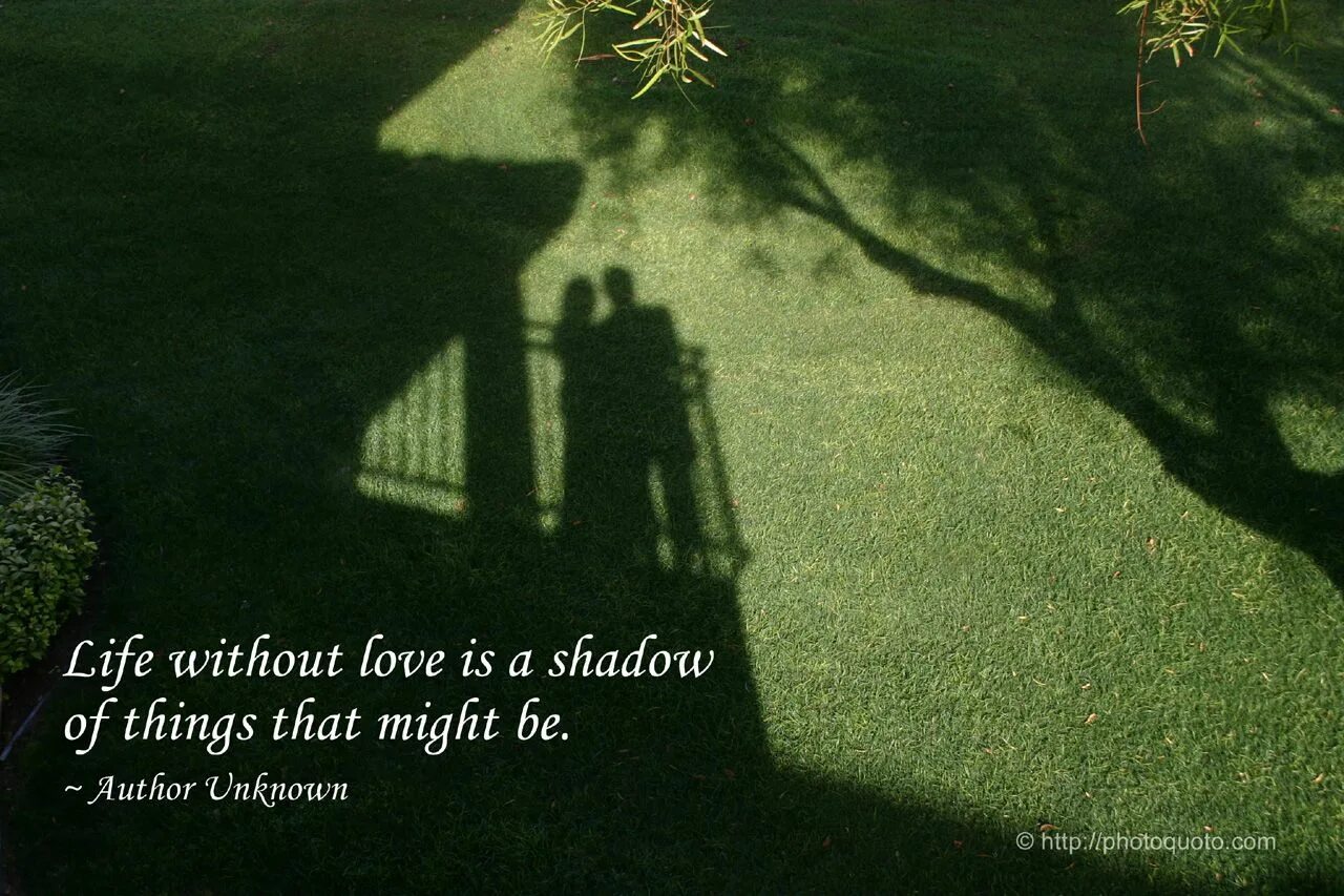 Life without a friend is. Without Love. Lovers Shadows. Of Love and Shadows. LMYK - without Love.