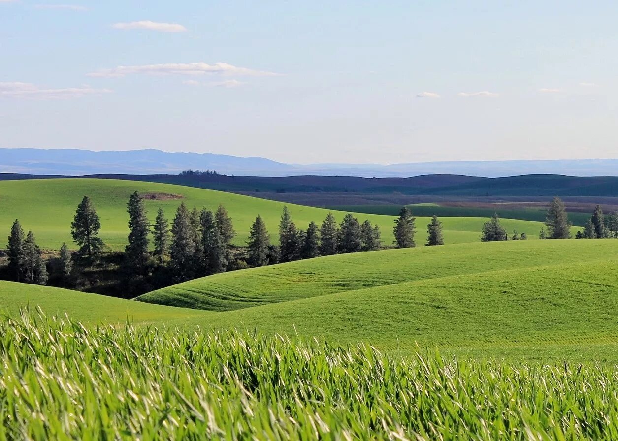 Предложение холмы. Green Hills зеленые холмы Ирландии. Rolling Hills. Зеленые холмы Куликово. Зеленые холмы Смоленск.