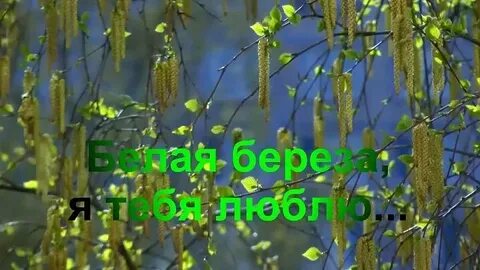 Ах ты береза мелодия