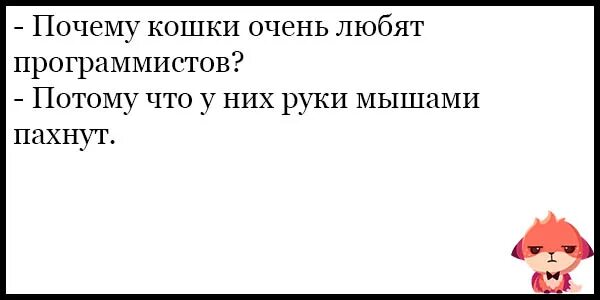 Люблю разработчиков