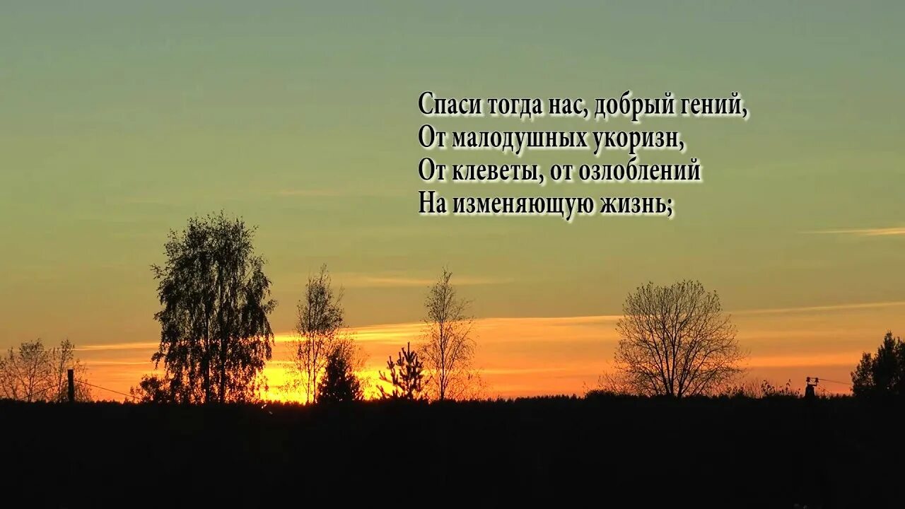 Когда дряхлеющие силы нам начинают тютчев. Тютчев когда дряхлеющие силы нам начинают изменять. Тютчев когда дряхлеющие силы. Стихотворение Тютчева когда дряхлеющие силы нам начинают изменять. Когда дряхлеющие силы нам начинают изменять текст Тютчев стихи.