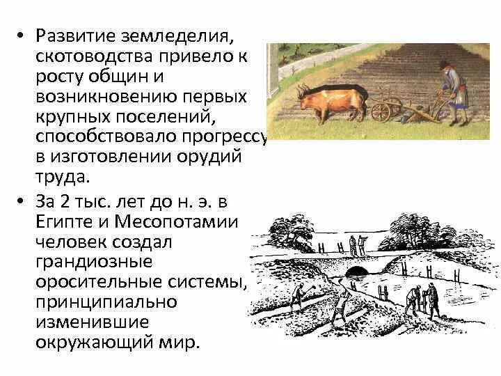 Урожайность почвы. Развитое земледелие. Основные направления развития сельского хозяйства. Биологическое сельское хозяйство. Органическое растениеводство.