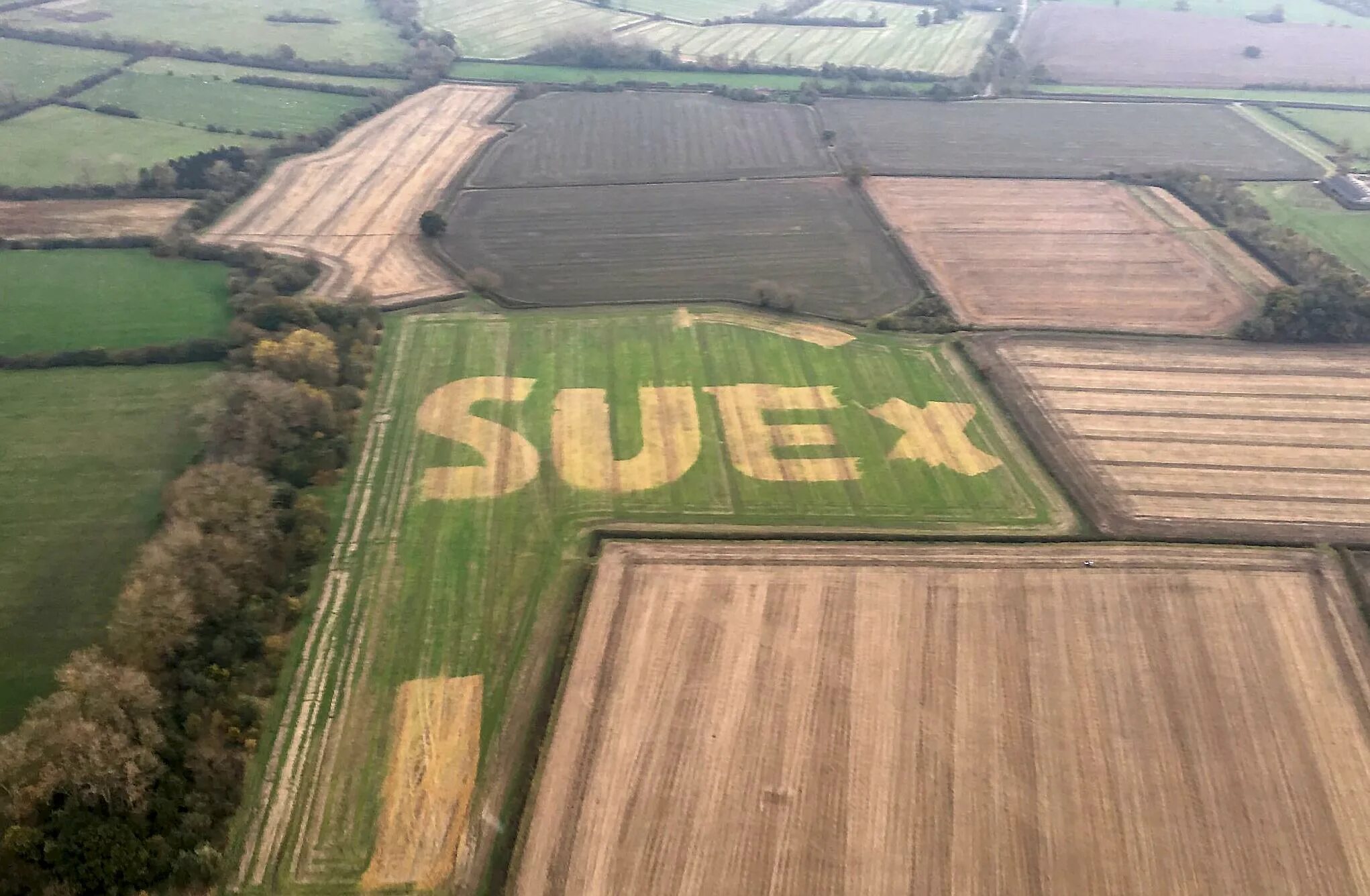 Field message. Поле для надписи. Романтичные надписи на полях. Надпись на поле в Великомихайловке. Неприличные надписи на полях.