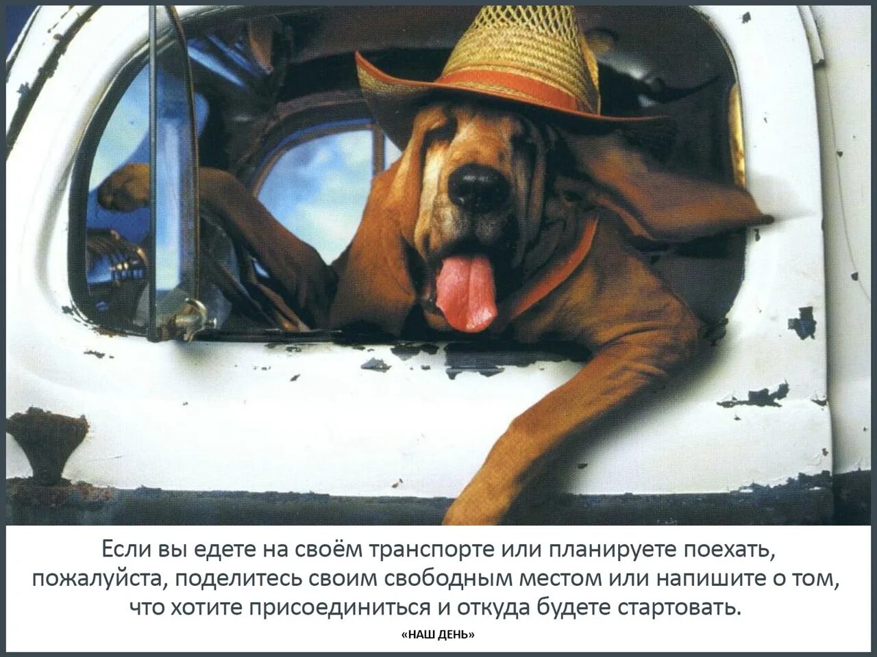 Довезти или довести как правильно