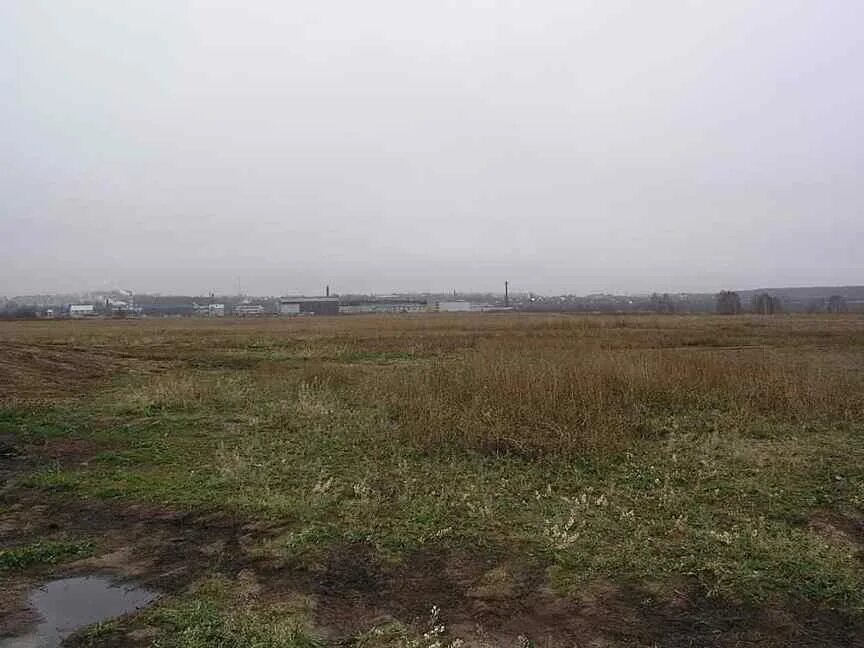 Участок рыбное. Рязанская область деревня сапково. Участок рыбное. Ходынино рязанская область. 6 соток рязань.