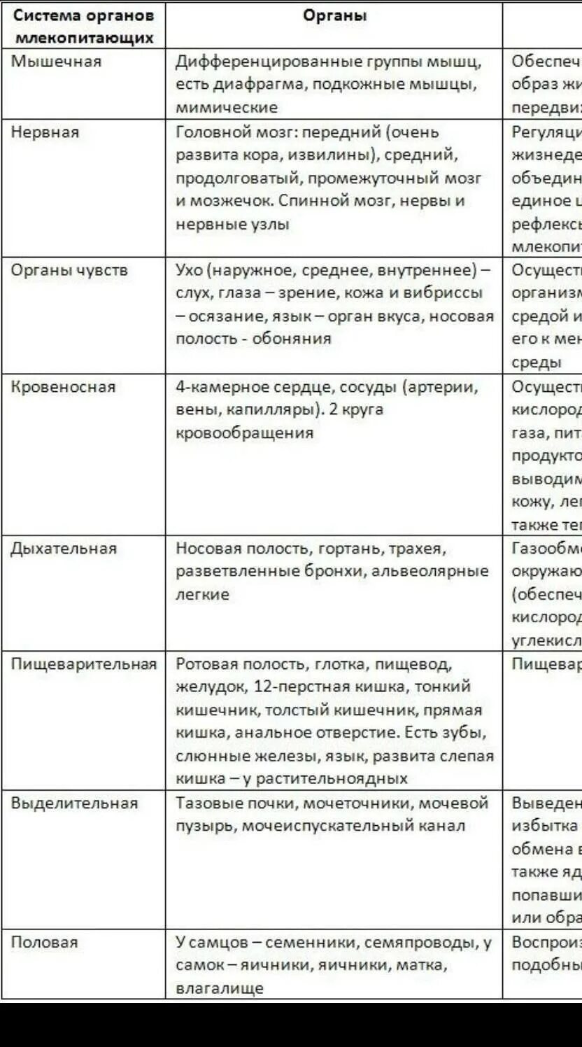 Функции птиц таблица. Таблица строение и функции систем органов млекопитающих. таблица по биологии 7 система органов, млекопитающих. таблица внутреннее строение млекопитающих 7 кл.. особенности строения систем органов млекопитающих таблица.