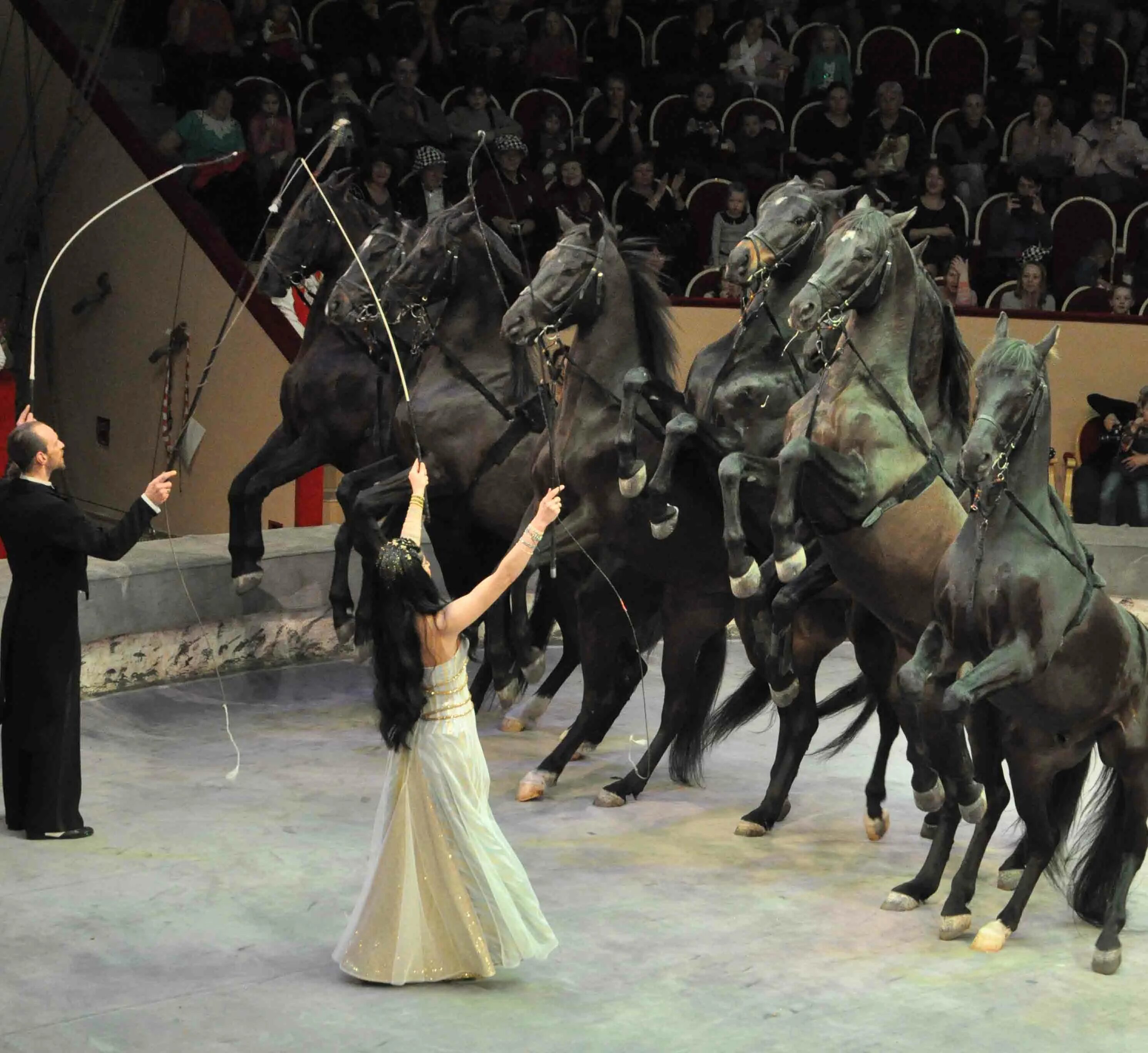 у парадного подъезда некрасов. парад алле в цирке. стихотворение размышления у парадного подъезда н. цирк был круглый большой у парадного. московский государственный цирк на проспекте вернадского.