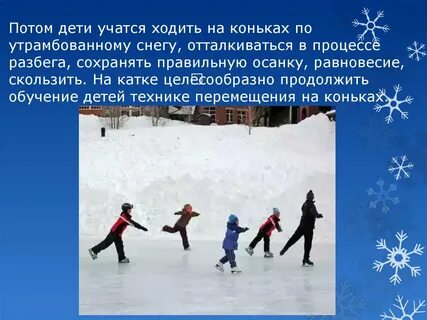 Описание катка
