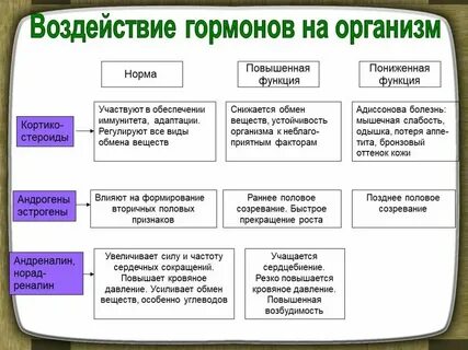 Влияние гормонов на уровень