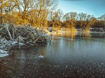 Водоемы ставропольского