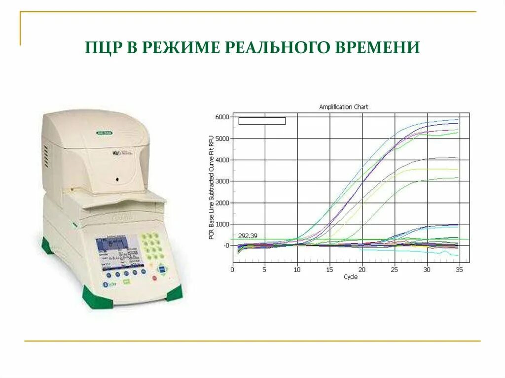 Тест реального времени. Real time ПЦР схема. График Реал тайм ПЦР. ПЦР Реал тайм методика. График амплификации ПЦР.