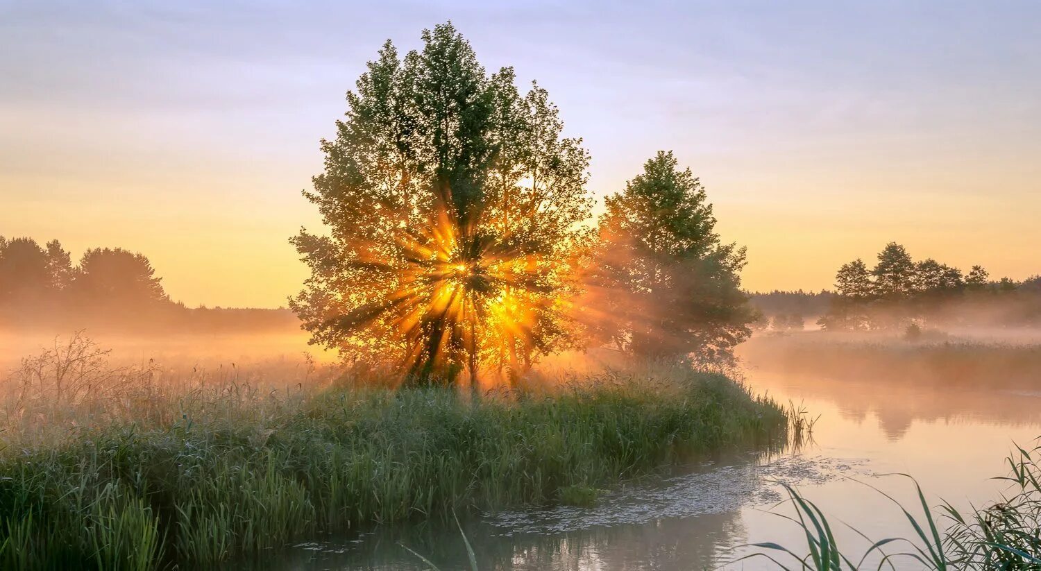 Утренний пейзаж. Ранний рассвет. Утро природа. Пейзаж утро. Красивые пейзажи добрым утром картинки