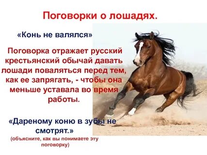 Ретивый это значение