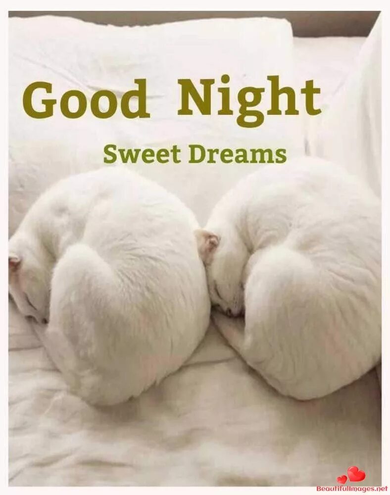 Спокойной ночи на английском. Good Night Sweet Dreams. Открытка good Night. Good Night открытки красивые.