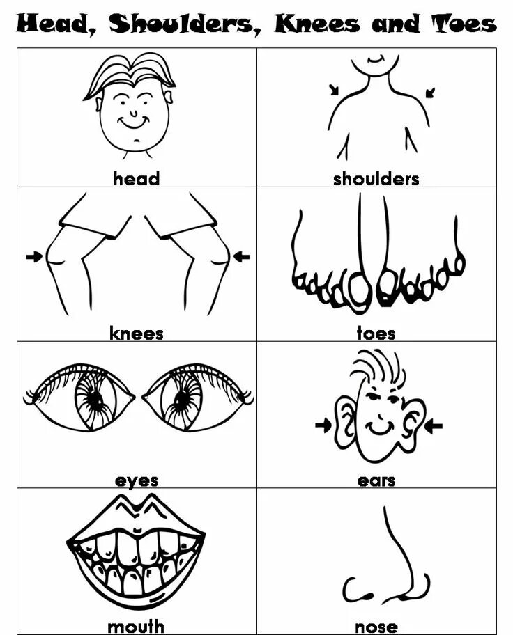 Head knees and toes. Лицо человека задания для дошкольников. Части тела задания для дошкольников. Тело человека задания для дошкольников. Части лица задания для дошкольников.