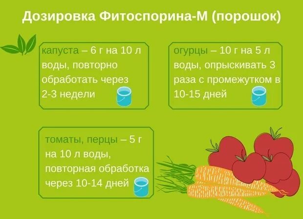 Сколько надо фитоспорина. Фитоспорин-м огурцы 10 гр.. Фитоспорин дозировка. Фитоспорин-м томат.