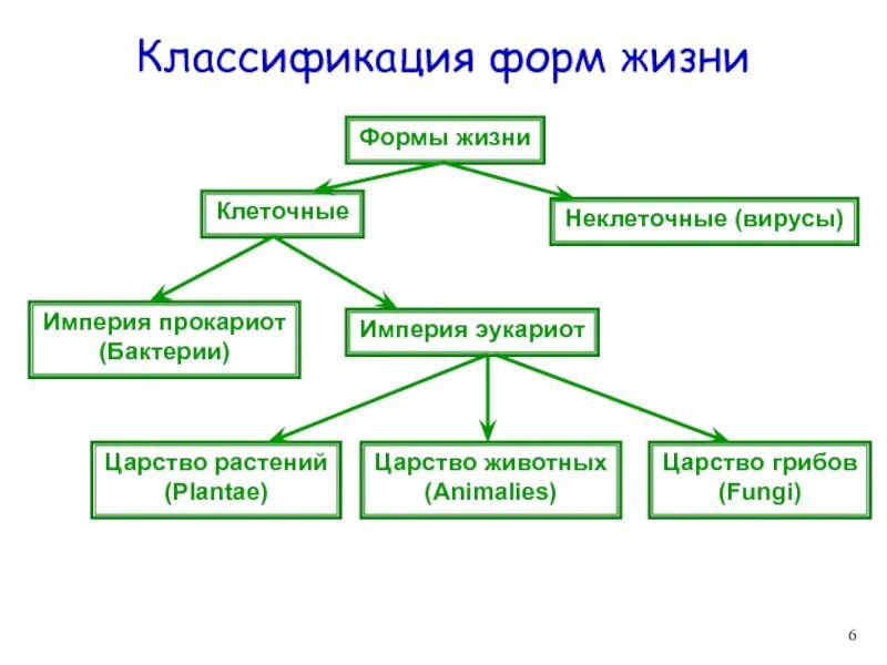 Формы живого биология