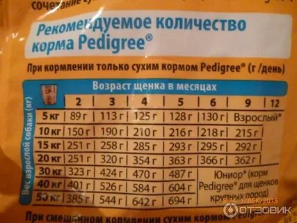 Корм в 4 месяца