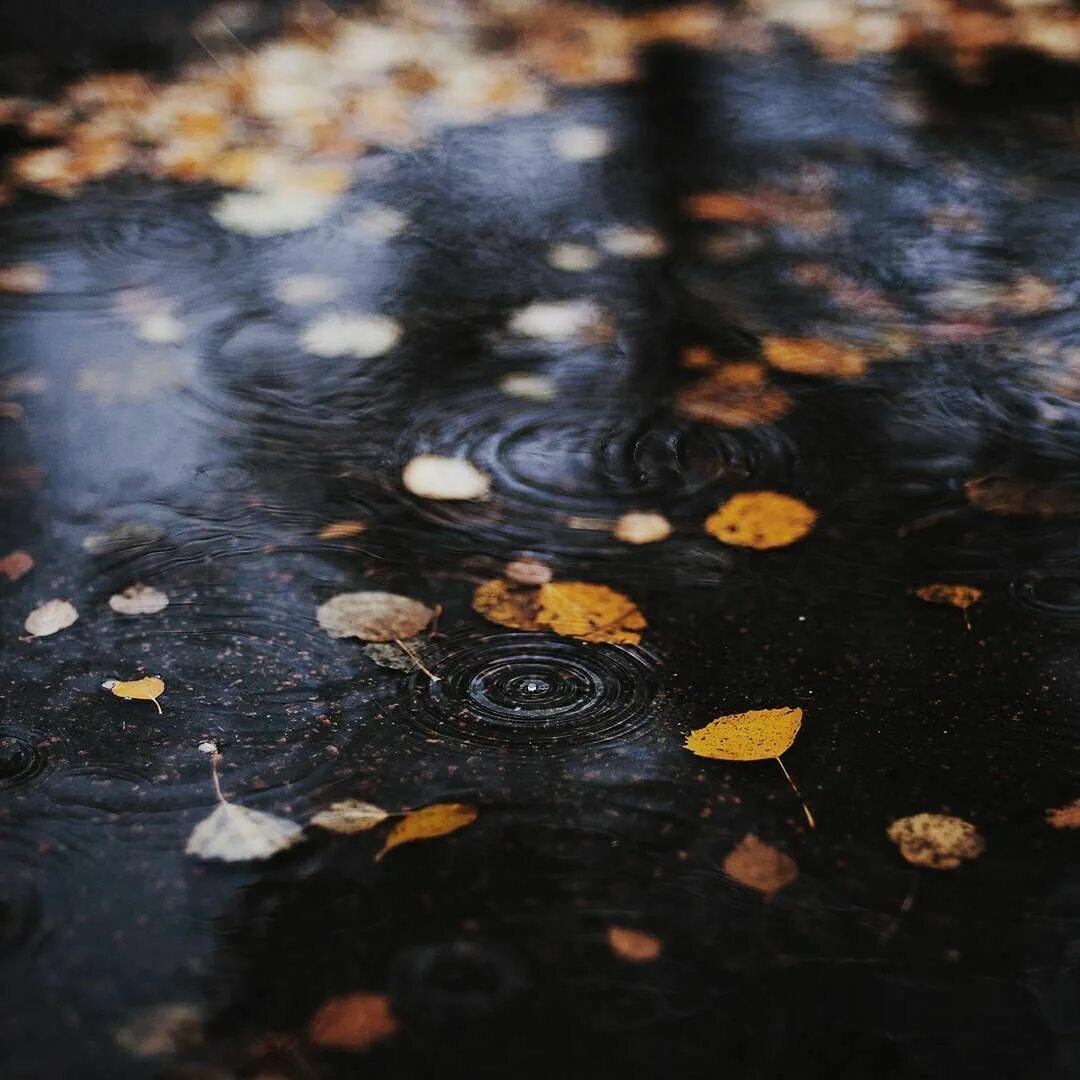It is raining in autumn