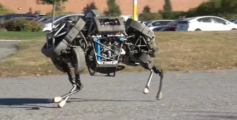 Legged robots