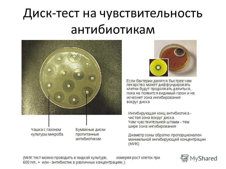 Антибиотики методы определения чувствительности к антибиотикам. Чувствительность микроорганизмов к антибиотикам метод дисков. Метод дисков для определения чувствительности к антибиотикам. Устойчивость микроорганизмов к антибиотикам чувствительный. Диффузный анализ