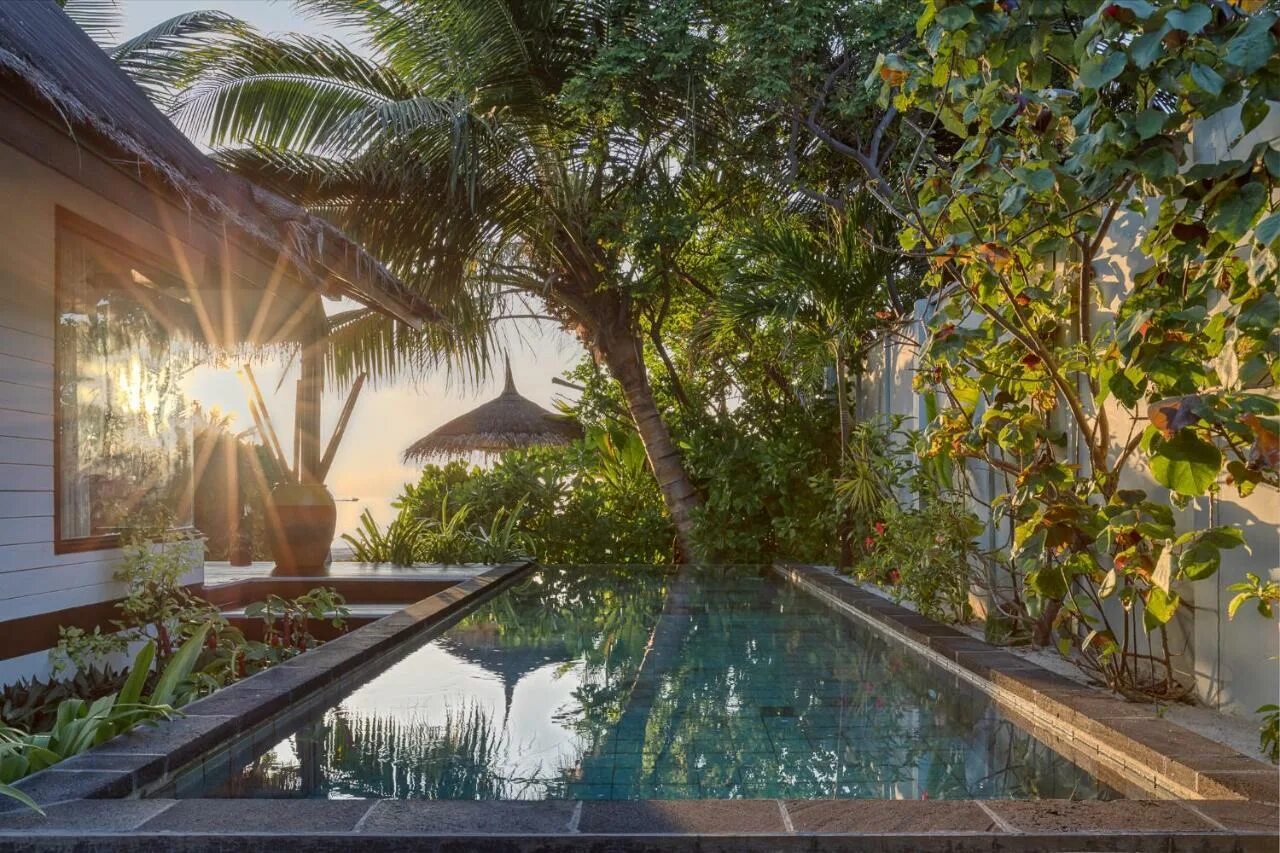 Ozen life maadhoo maldives. Озен мальдивы. Остров болифуши мальдивы. Озен лайф маду. Ozen life maadhoo 5 мальдивы.