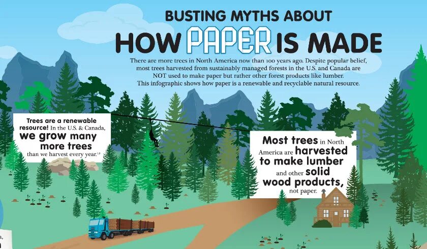 How many trees are there. How paper is made. paper how paper is made. how is paper produced. paper is made from trees.