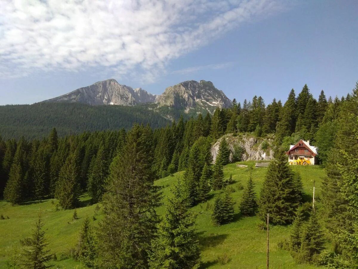 Жабляк черногория. Жабляк горы. Черногорье Жабляк. Zabljak Черногория.