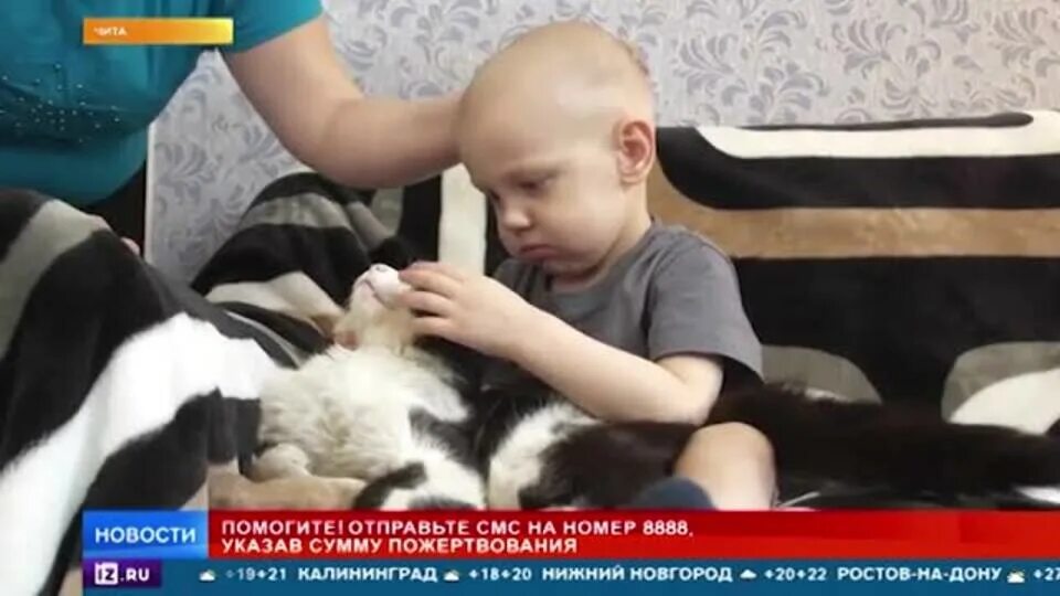 Рен тв помощь детям. Рен тв помощь детям 8888 сегодня. номер пожертвования детям на рен тв. ren tv диана сбор средств.