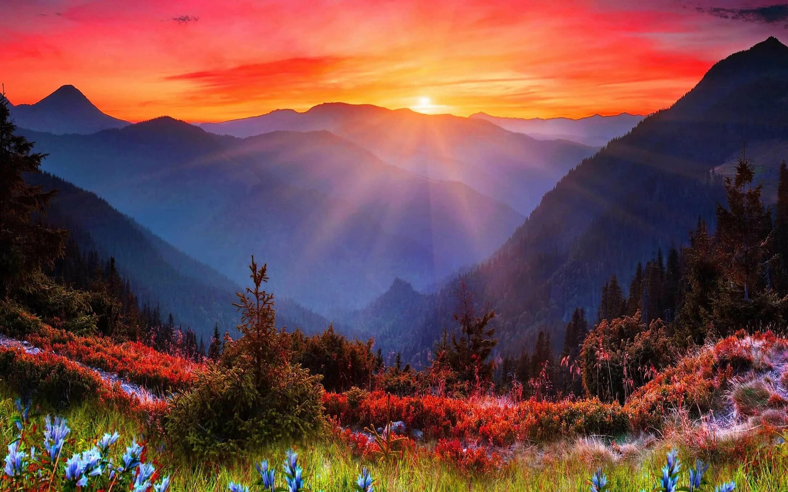 Горы облака солнце. Красивый закат в горах. Горы солнце. Восходит над горами. Гора фудзи на восходе солнца в японии.