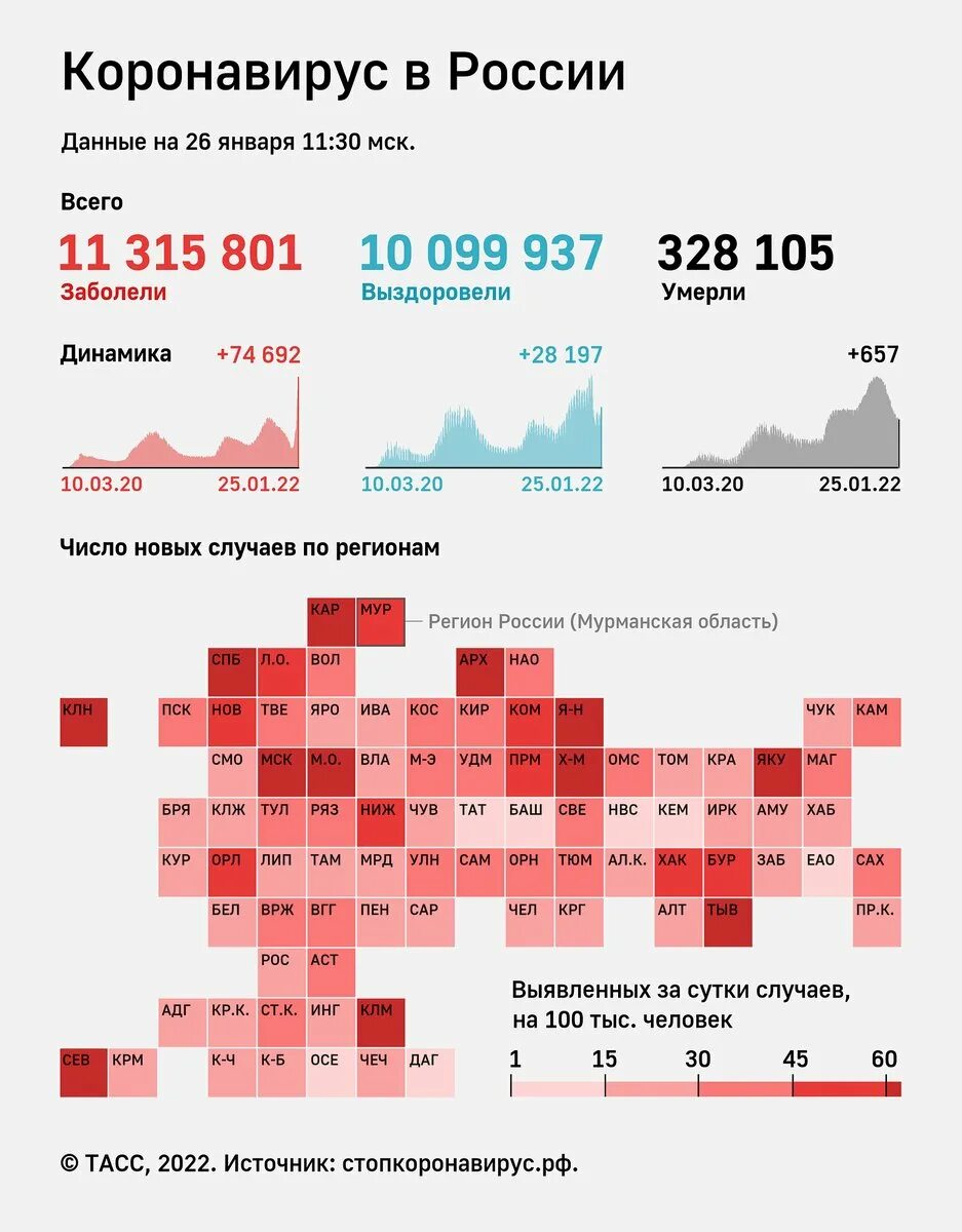 В России за сутки выявили. В России за сутки выявили 203 766 случаев коронавируса. Белгород заболевших