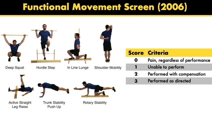 FMS Test. Functional Movement Screen. FMS Hurdle Step. FMS (functional Magnetic stimulation). Fms index