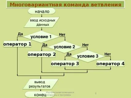 Программа цикл и ветвление